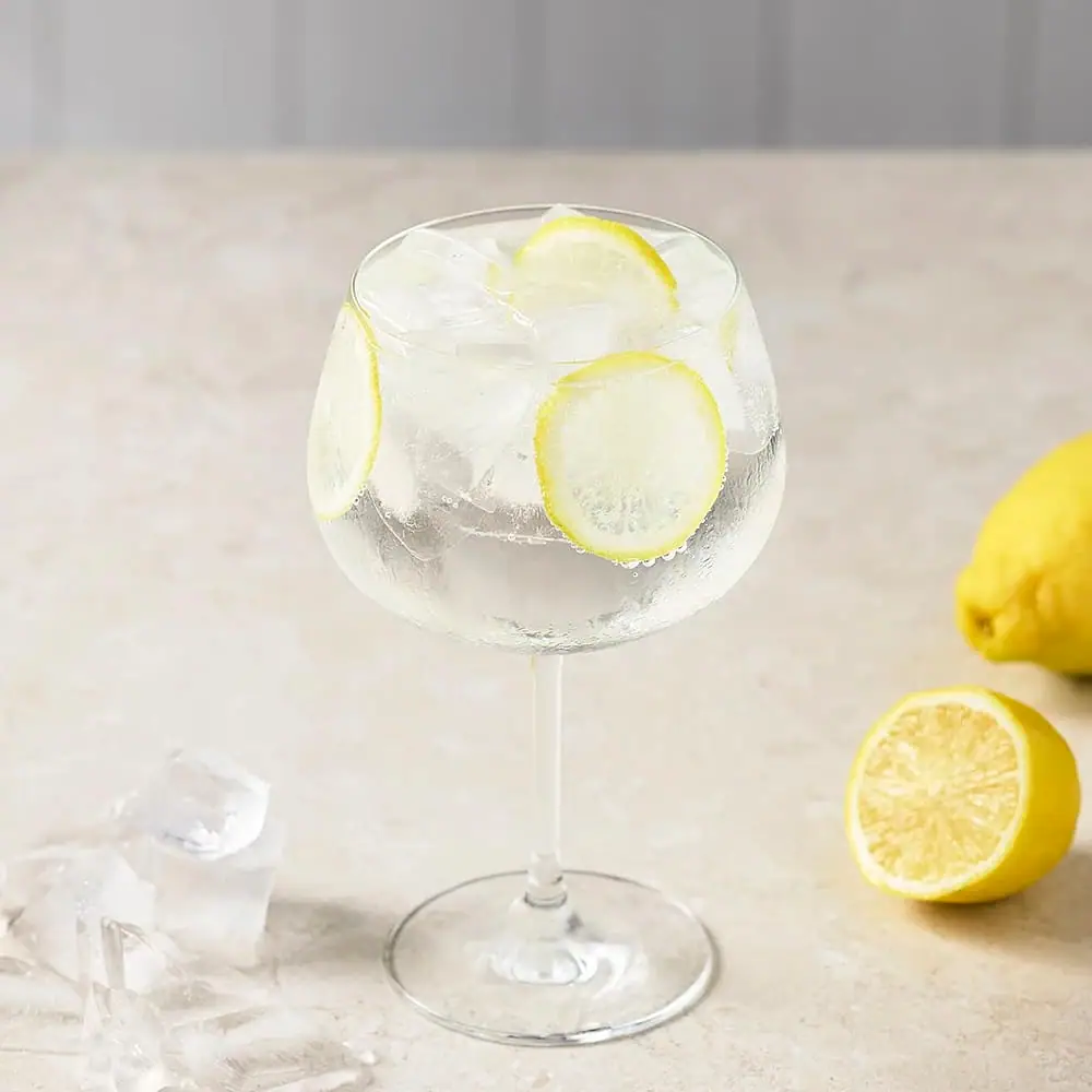 Gin - och - tonic